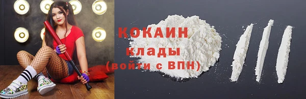 spice Новозыбков