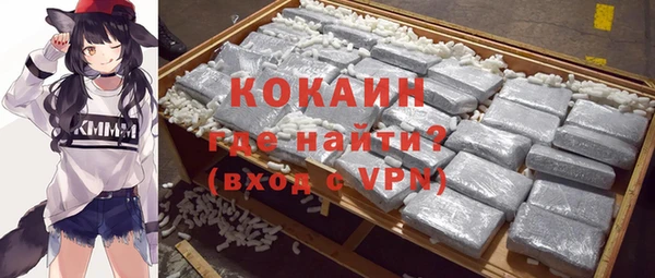 дживик Надым