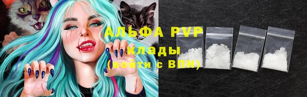 spice Новозыбков