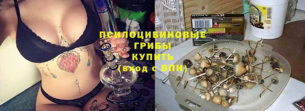 spice Новозыбков