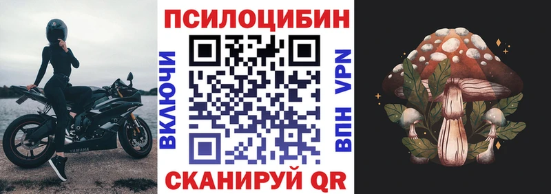 Галлюциногенные грибы Psilocybe  OMG вход  Изобильный  магазин  наркотиков 