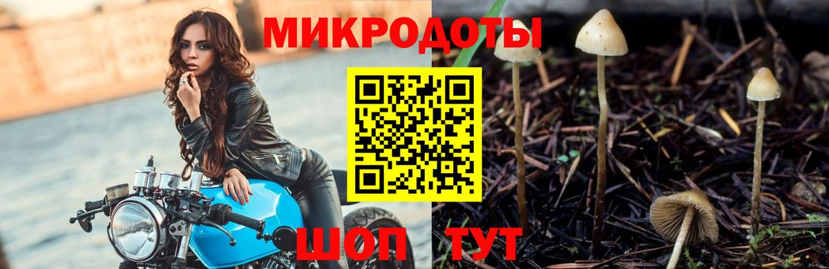 Псилоцибиновые грибы Cubensis Изобильный